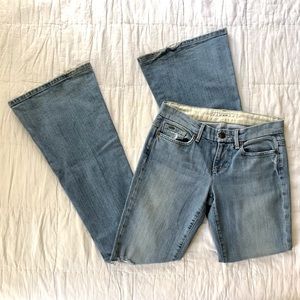 Joe’s Stardust Jeans